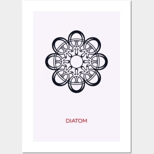 Diatom Posters and Art